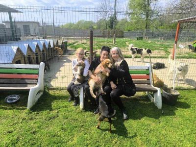 138 животни са кастрирани в рамките на пролетната кастрационна кампания на Община Казанлък