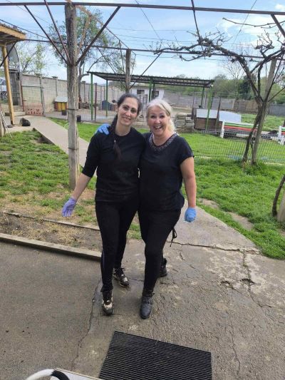 138 животни са кастрирани в рамките на пролетната кастрационна кампания на Община Казанлък