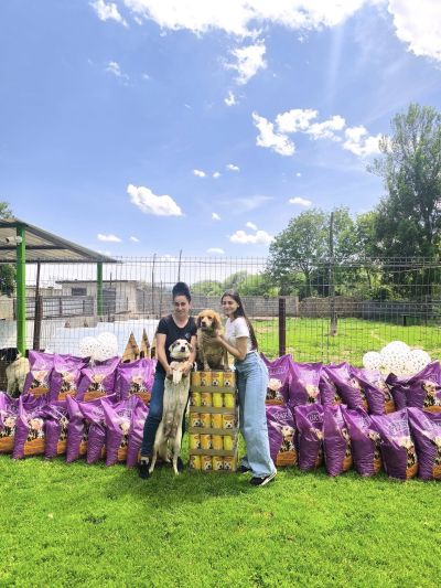 Абитуриентка от Казанлък замени букетите с добра кауза в подкрепа на четириногите обитатели на общинския приют