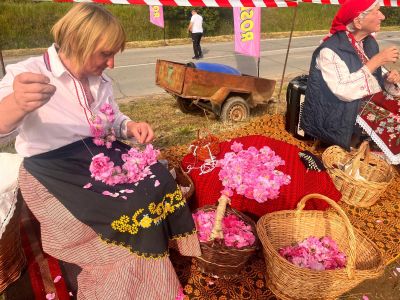 Ритуалът “Розобер” разкри мистиката на традициите в отглеждането на царицата на цветята-розата