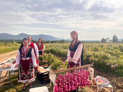Ритуалът “Розобер” разкри мистиката на традициите в отглеждането на царицата на цветята-розата