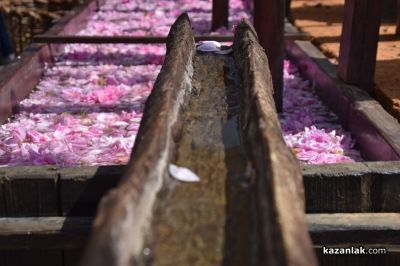 Автентичен ритуал по розоварене бе представен в Музея на розата в Казанлък