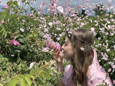 Иса Бесоолу: Важно е да има работа и поминък за хората. Маслодайната роза не е само красиви снимки, а труд и отговорност