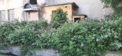 Когато носиш доброто в сърцето си