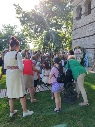 77 билки и половина на Еньовден в Енина