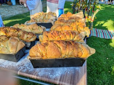 77 билки и половина на Еньовден в Енина