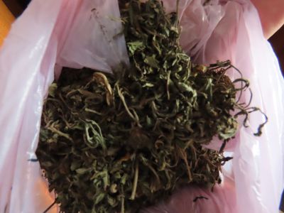 Криминалисти от РУ-Казанлък иззеха над 455 грама марихуана