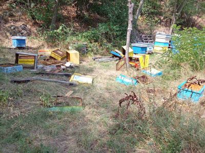 Две мечета нападнаха и опустошиха пчелини в местността “Трифончето“ край град Шипка