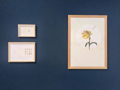 До 17 август може да разгледате изложбата на Биляна Фурнаджиева в Къща музей „Ненко Балкански“  / Новини от Казанлък