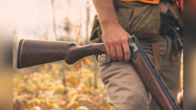 Ловът на пъдпъдъци, гургулици, гривяк, горски бекас и обикновена бекасина започва от 9 август  / Новини от Казанлък