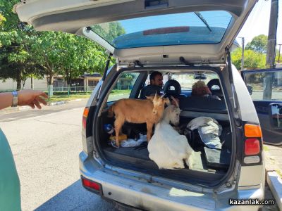 Намериха изчезналата възрастна жена от казанлъшкото село Средногорово/ ВИДЕО 