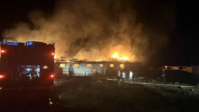 Над 15 животни загинаха при голям пожар във ферма в Кънчево / Новини от Казанлък