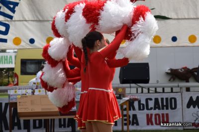 Биорали с магарешки каручки - Гурково 2025 