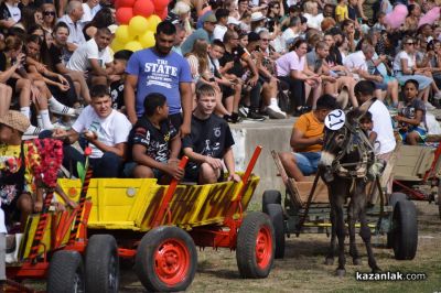 Биорали с магарешки каручки - Гурково 2025 