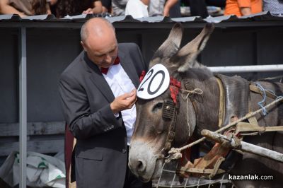 Биорали с магарешки каручки - Гурково 2025 