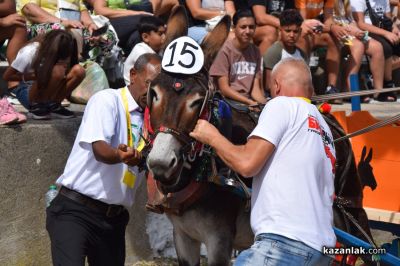 Биорали с магарешки каручки - Гурково 2025 