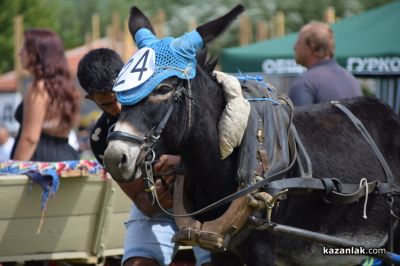 Биорали с магарешки каручки - Гурково 2025 