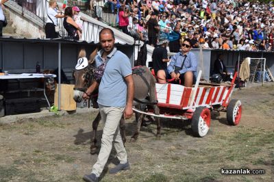 Биорали с магарешки каручки - Гурково 2025 