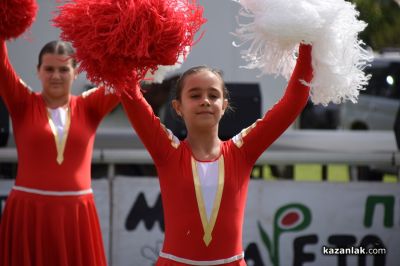 Биорали с магарешки каручки - Гурково 2025 