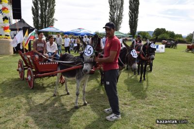 Биорали с магарешки каручки - Гурково 2025 