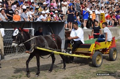 Биорали с магарешки каручки - Гурково 2025 