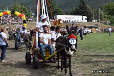 Биорали с магарешки каручки - Гурково 2025 