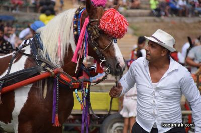 Биорали с магарешки каручки - Гурково 2025 