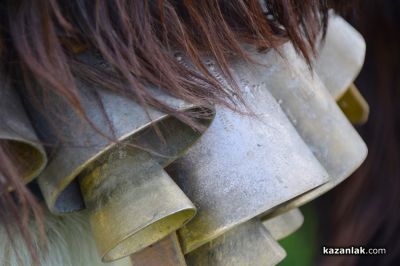 Биорали с магарешки каручки - Гурково 2025 