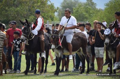 Биорали с магарешки каручки - Гурково 2025 
