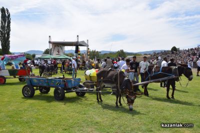 Биорали с магарешки каручки - Гурково 2025 