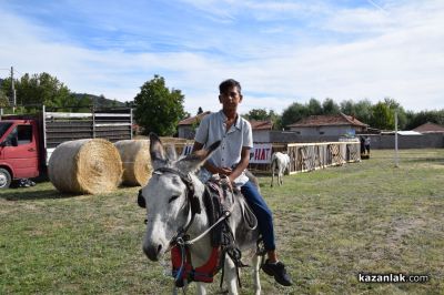 Биорали с магарешки каручки - Гурково 2025 