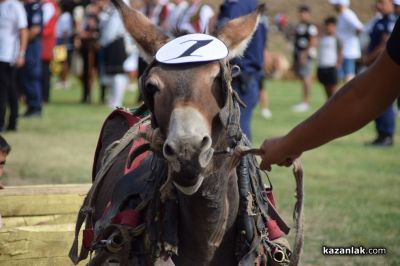 Биорали с магарешки каручки - Гурково 2025 