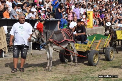 Биорали с магарешки каручки - Гурково 2025 