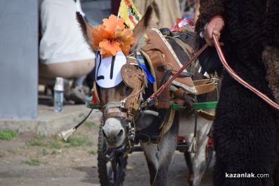 Биорали с магарешки каручки - Гурково 2025 