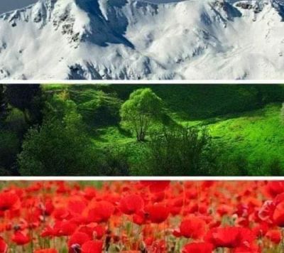 Краеведите от “Род, роден край, родина“ припомнят за енинското участие в Съединението на България 