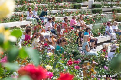 ЖИВОТворен - фестивал за съзнателен живот в Дамасцена
