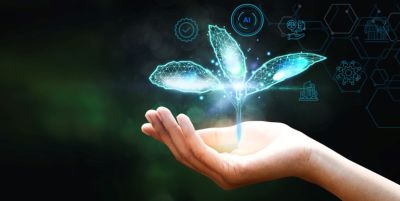 Проект BETTI помага на общинска администрация Казанлък да прилага разумно изкуствения интелект в услугите си / Новини от Казанлък