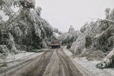 Ограничено е движението през прохода „Петрохан“ за премахване на паднали дървета и снегопочистване