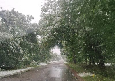 Ограничено е движението през прохода „Петрохан“ за премахване на паднали дървета и снегопочистване