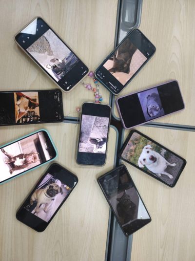 С поредица от инициативи ОУ “Георги Кирков“ отбеляза Световния ден на животните