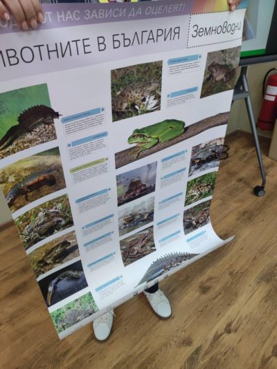 С поредица от инициативи ОУ “Георги Кирков“ отбеляза Световния ден на животните
