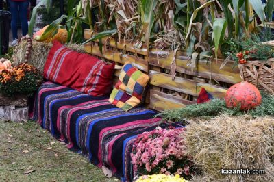 Х Национален фестивал на ореха в с. Голямо Дряново