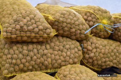 Х Национален фестивал на ореха в с. Голямо Дряново