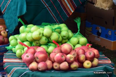 Х Национален фестивал на ореха в с. Голямо Дряново
