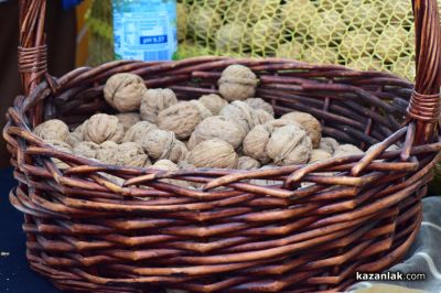 Х Национален фестивал на ореха в с. Голямо Дряново