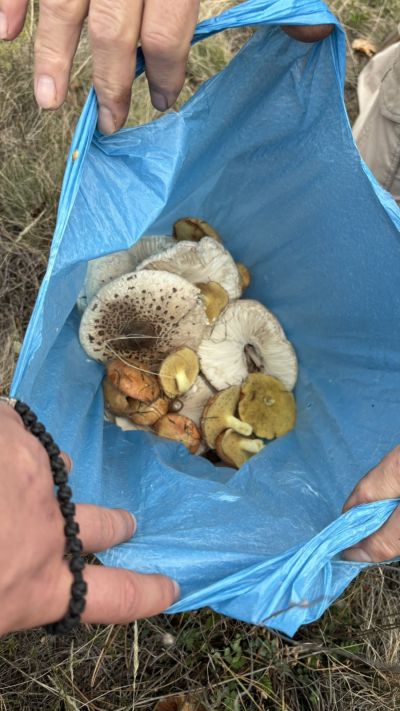 ТК “Енинско Ждрело“ и ТК “Орлово гнездо“ започнаха възстановяване на маркировката към „Чилечето“ и Кайзеровия заслон