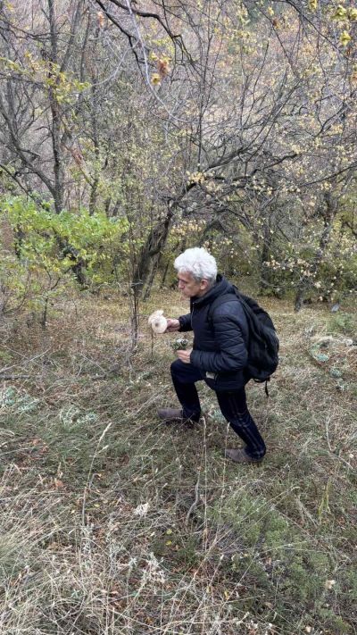 ТК “Енинско Ждрело“ и ТК “Орлово гнездо“ започнаха възстановяване на маркировката към „Чилечето“ и Кайзеровия заслон