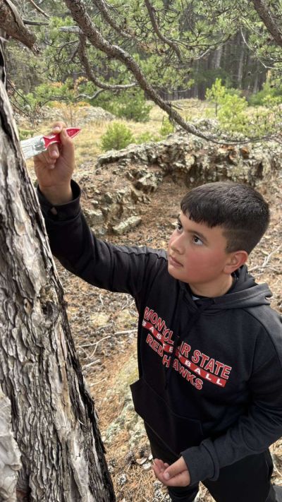 ТК “Енинско Ждрело“ и ТК “Орлово гнездо“ започнаха възстановяване на маркировката към „Чилечето“ и Кайзеровия заслон