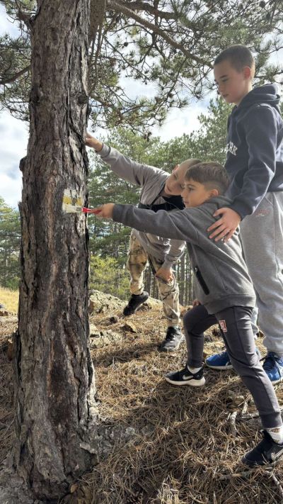 ТК “Енинско Ждрело“ и ТК “Орлово гнездо“ започнаха възстановяване на маркировката към „Чилечето“ и Кайзеровия заслон