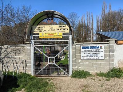 Общинският приют работи с висококвалифициран екип  / Новини от Казанлък